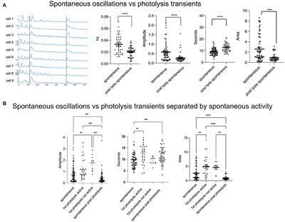 A single cell death is disruptive to spontaneous Ca2+ activity in astrocytes